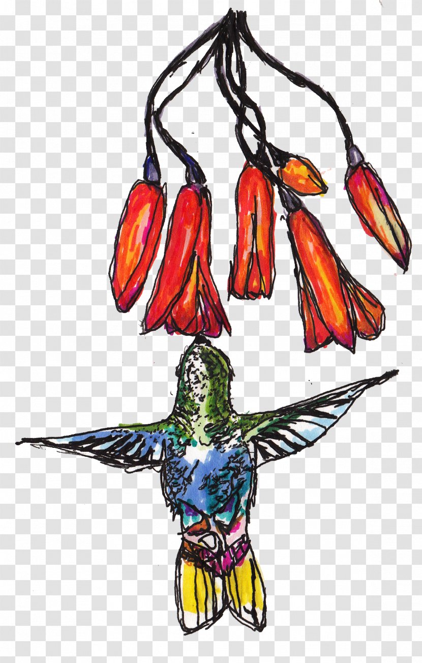 Macaw Costume Design Beak - Fictional Character - Hawaii Bird Transparent PNG