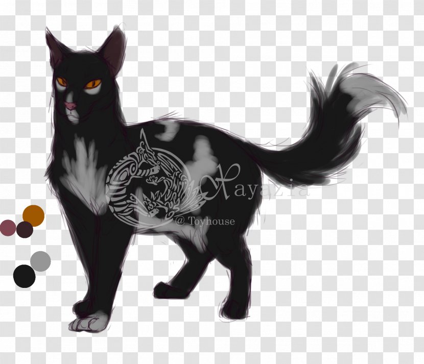 Whiskers Cat Illustration Paw - Like Mammal Transparent PNG