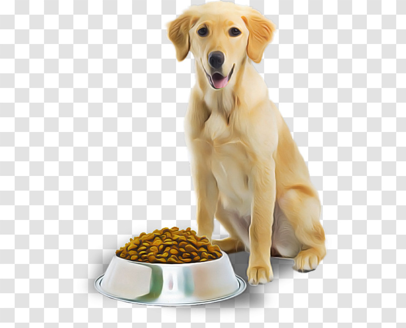 Dog Food Transparent PNG