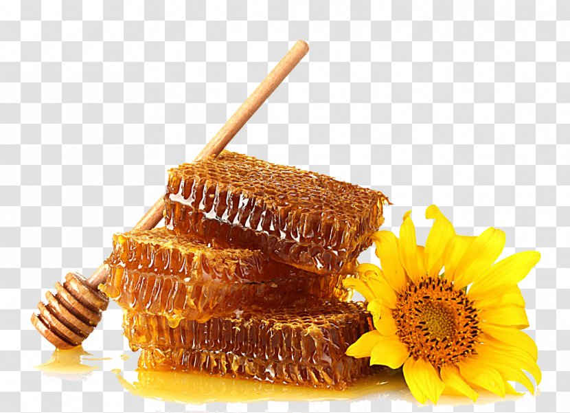 Honey - Honeycomb - Bee Transparent PNG