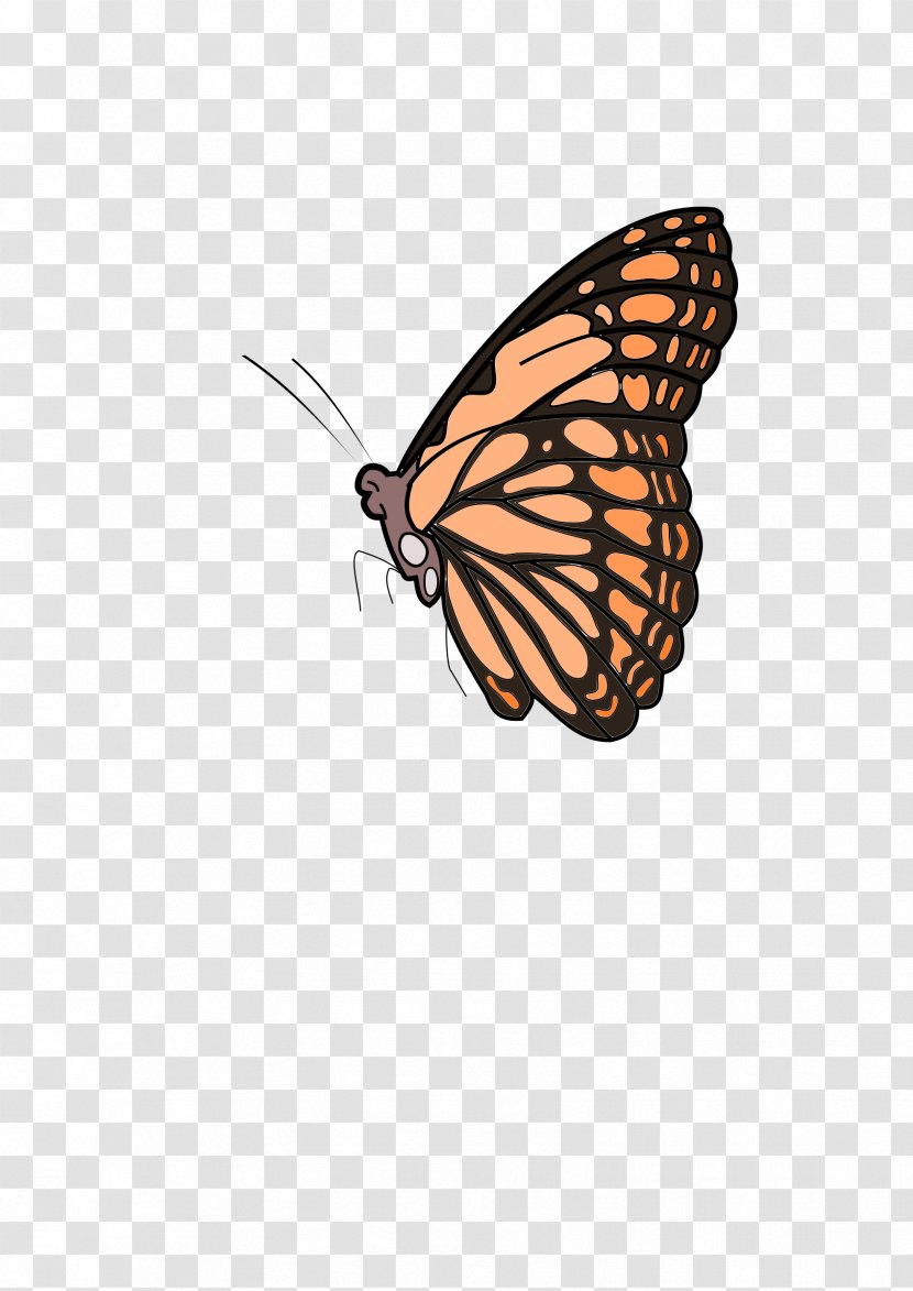 Monarch Butterfly Markesot Bertutur Clip Art - Colour Clipart Transparent PNG