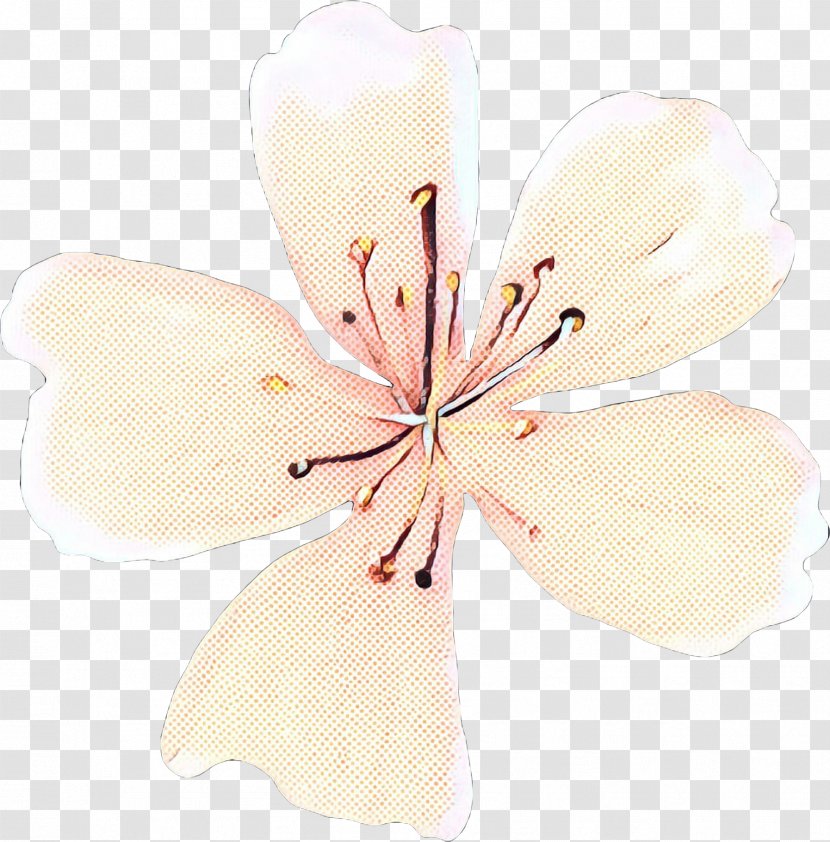 Pop Art Retro Vintage - Petal - Herbaceous Plant Cherry Blossom Transparent PNG