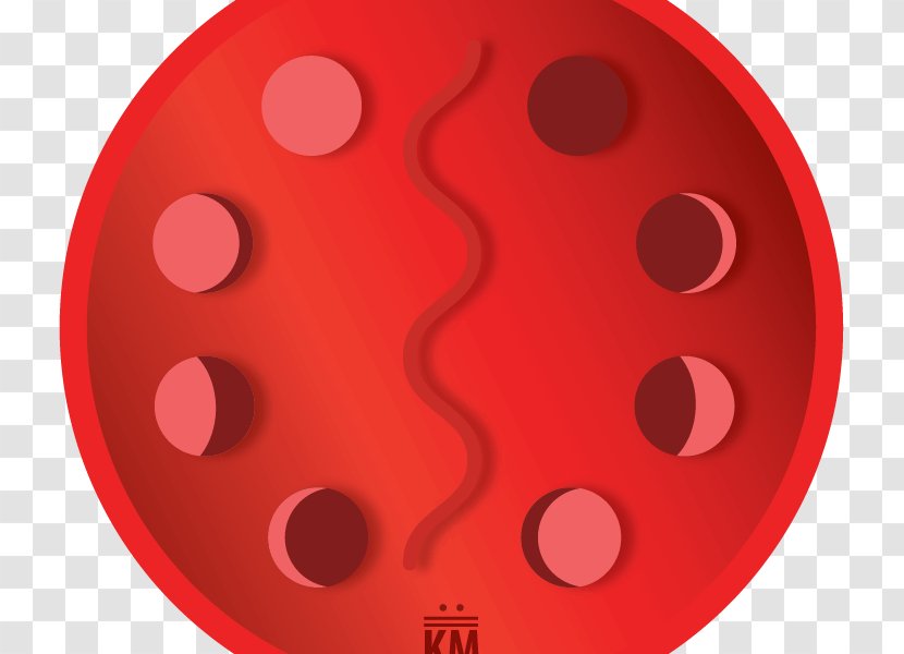 RED.M - Redm - Design Transparent PNG