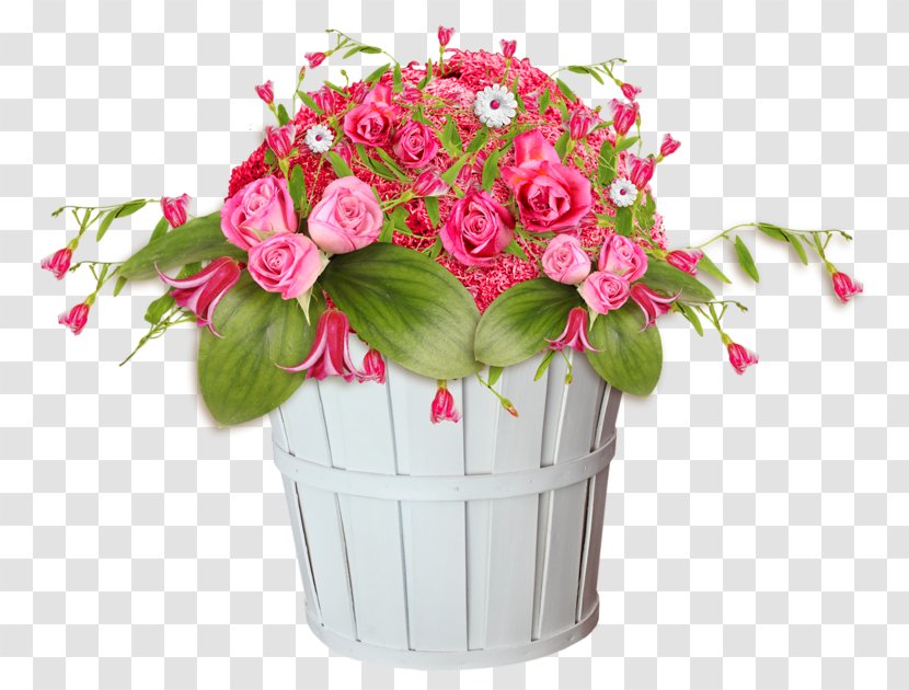 Transvaal Daisy Flower Vase Life Garden Roses Transparent PNG