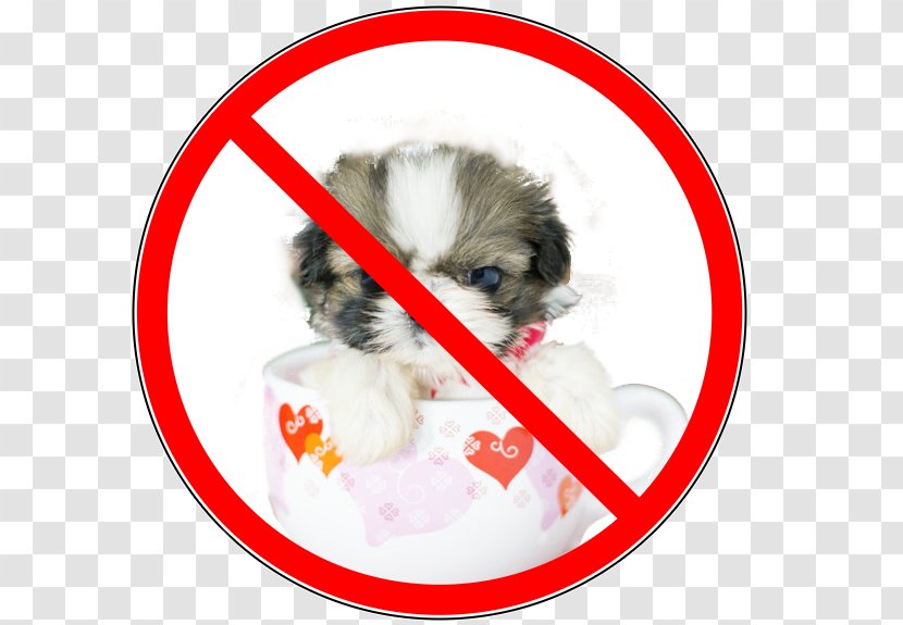 Smoking Ban - Companion Dog - Alcoholism Transparent PNG