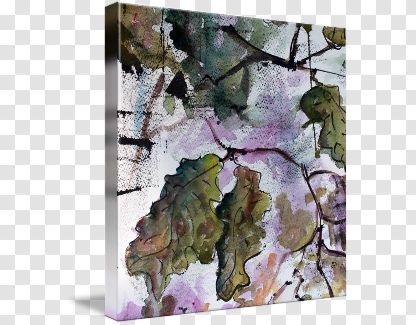 Tree Leaf Plant Lilac - Leaves Watercolor Transparent PNG