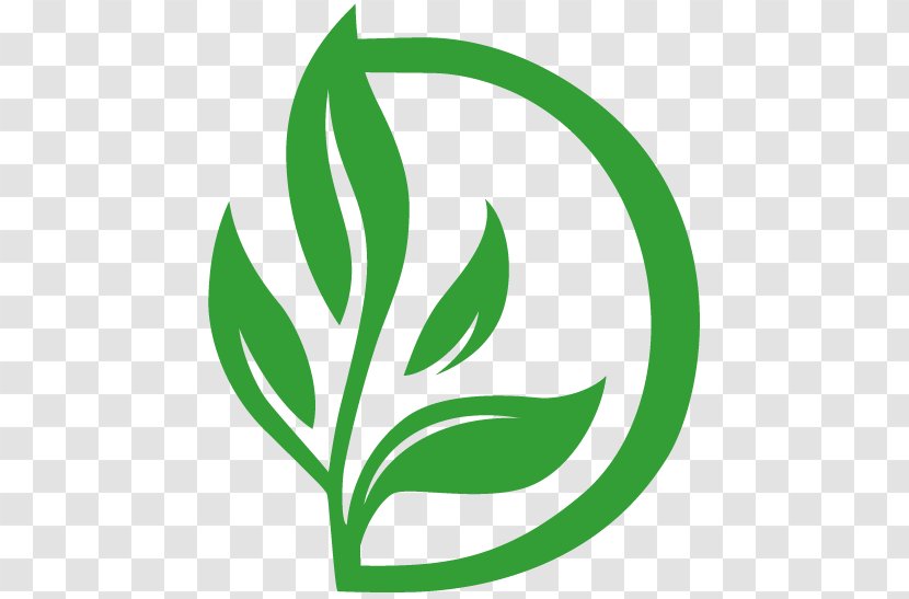 Essential Oil Aromatherapy Clip Art Leaf - Logo Transparent PNG