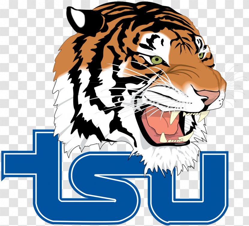 Tennessee State University Tigers Football Women's Basketball Southern Heritage Classic Historically Black Colleges And Universities - Cat Like Mammal - Tiger Woods Transparent PNG