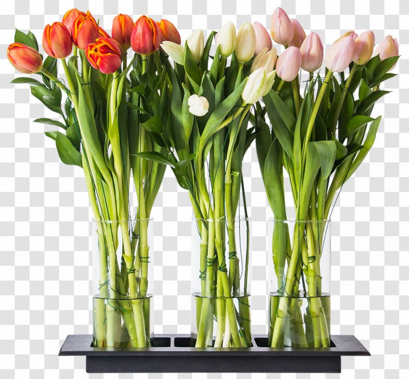 Floral Design Tulip Cut Flowers Vase Transparent PNG
