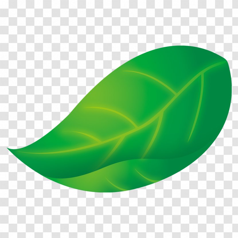 Leaf Green Chart - Science - Beautifully Layered Graph Leaves Transparent PNG