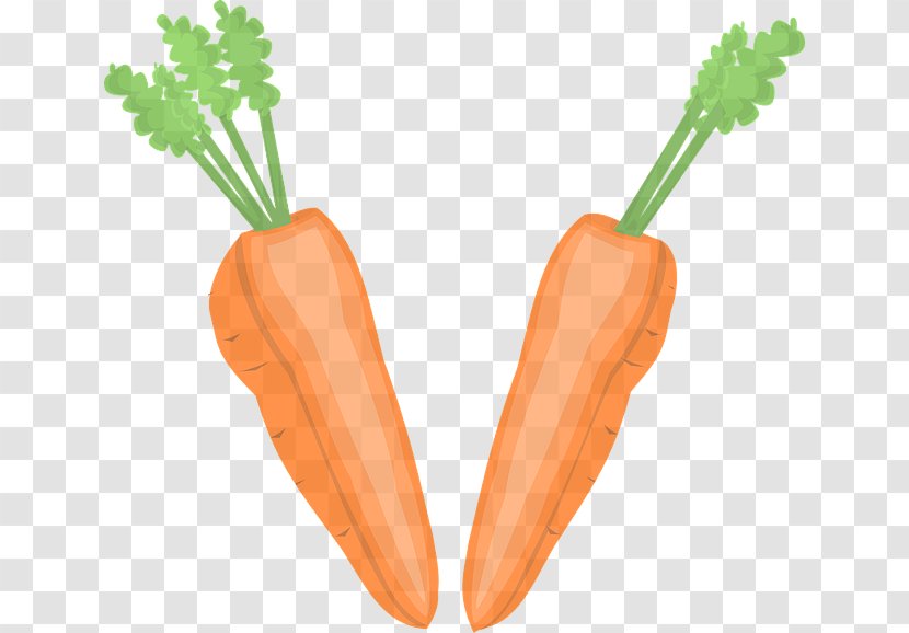 Carrot Root Vegetable Baby Wild - Plant - Food Transparent PNG
