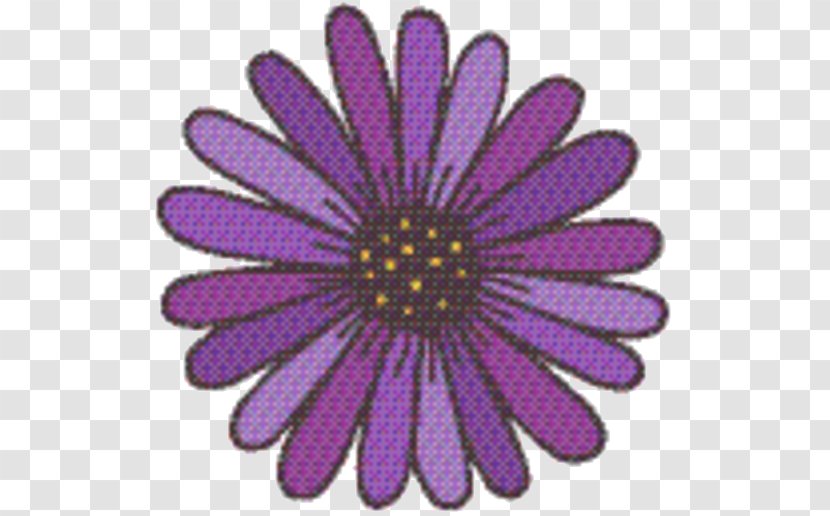 Drawing Of Family - Aster - Wildflower Daisy Transparent PNG