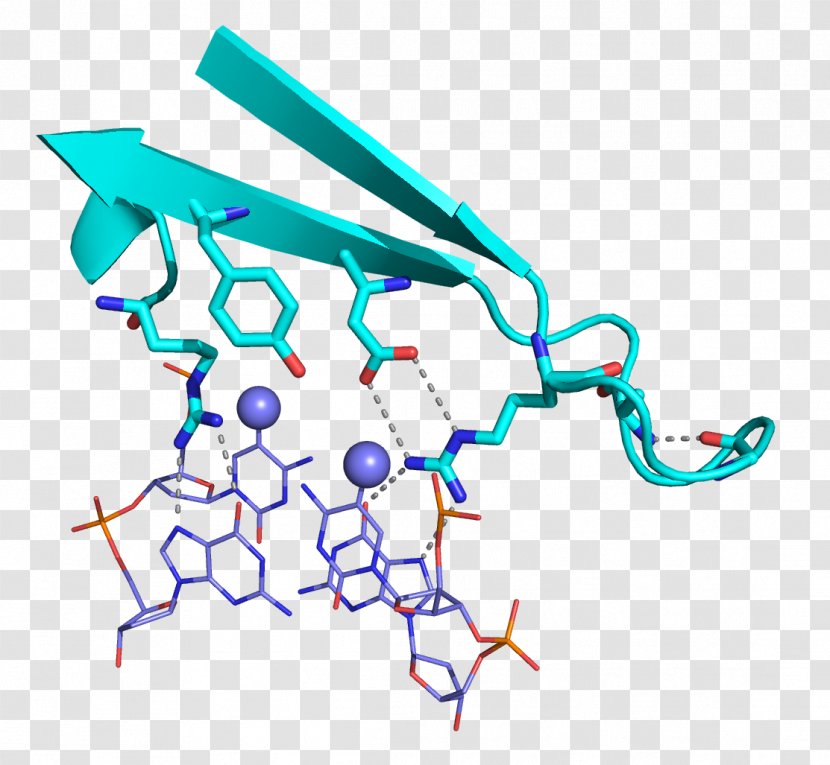 Research Laboratory Epigenetics Methyl-CpG-binding Domain Protein 2 DNA Methylation - Dna - Guanosine Transparent PNG