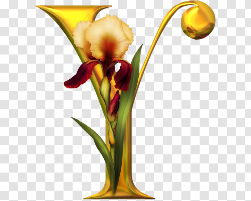 English Alphabet Letter Image Flower - Floral Design Transparent PNG