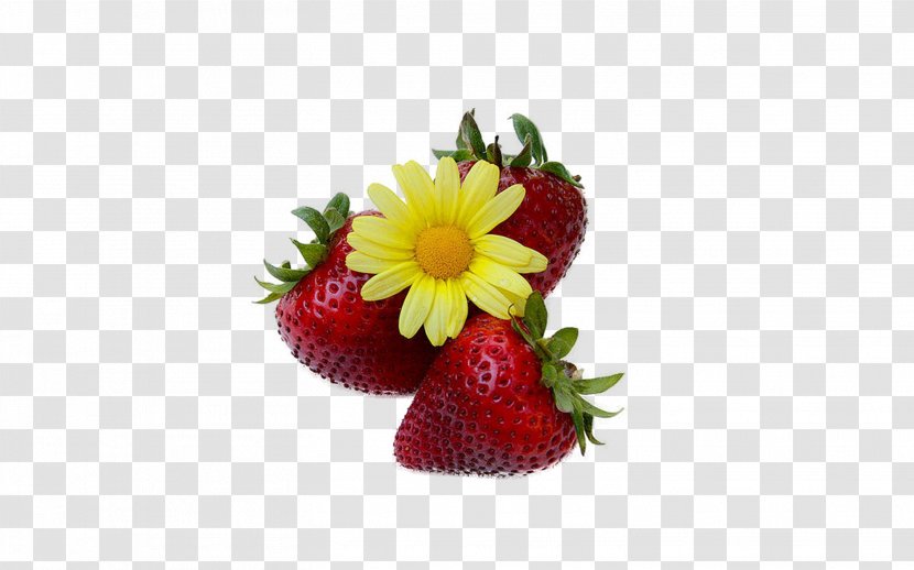 Love Week - Petal - Strawberry Flowers Transparent PNG