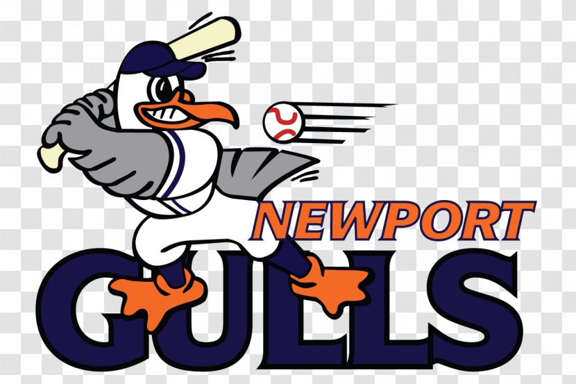 Middletown Cardines Field Newport Gulls New England Collegiate Baseball League - Brand - Gull Transparent PNG