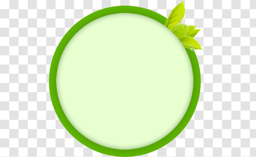Circle Download Computer File - Leaf - Green Transparent PNG