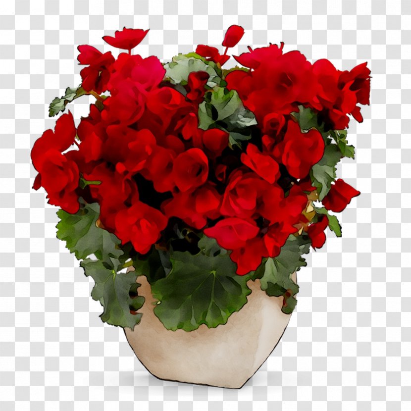 Flower Delivery Floristry Bouquet Gift - Perennial Plant - Flowerpot Transparent PNG