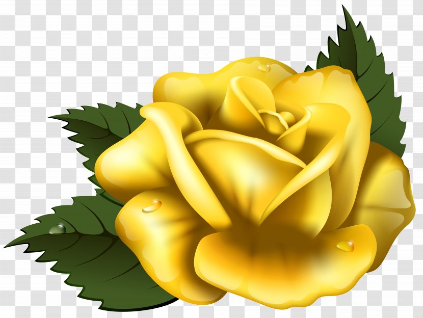 Rose Yellow Clip Art - Flowering Plant - Large Transparent Image Transparent PNG