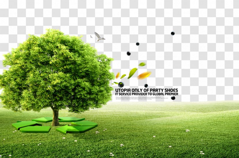 Book Tree Bureau Of Jewish Education Illustration - Grass - Green Recycle Transparent PNG
