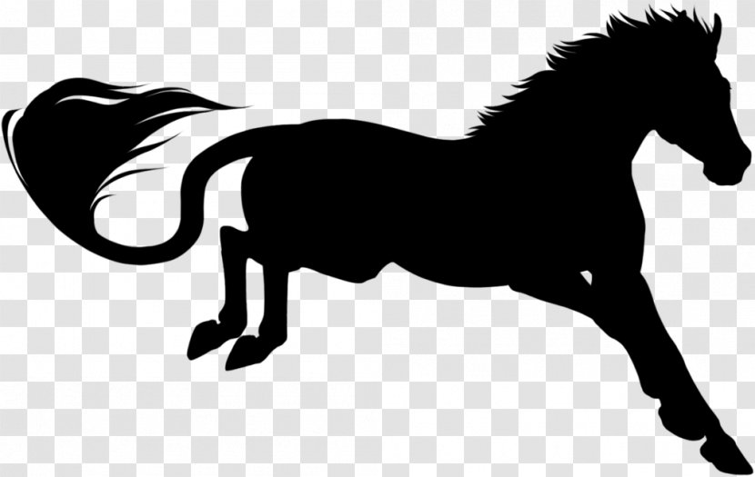 Mustang Mane Halter Pony Stallion - Black - Horse Supplies Transparent PNG