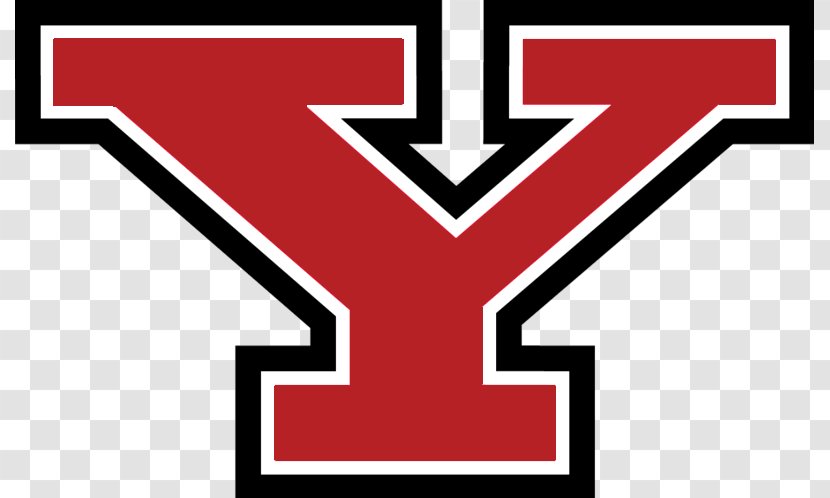 Youngstown State University Penguins Football Women's Basketball Beeghly Center Western Kentucky - Penguin Vector Transparent PNG