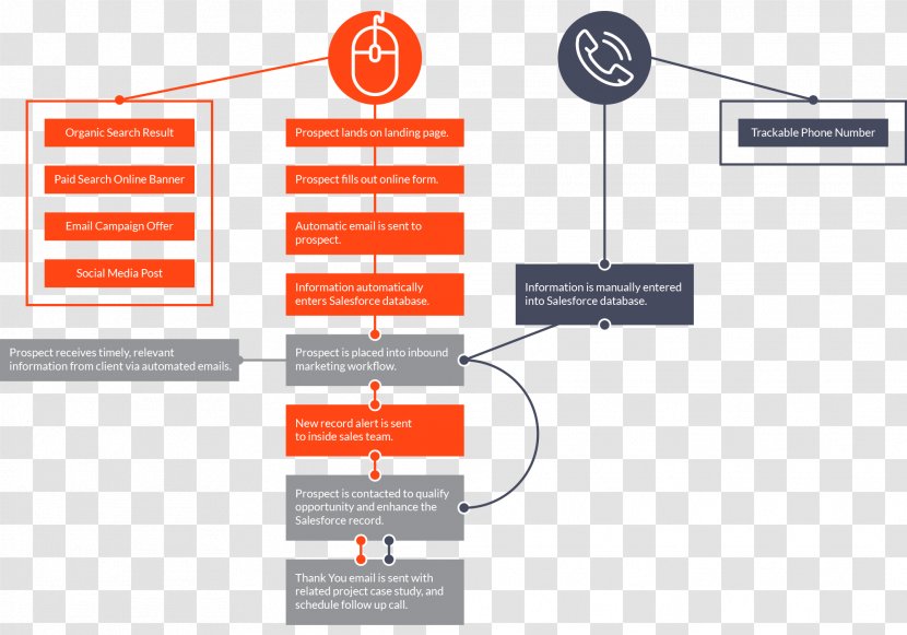 Sales Process Spreadsheet Marketing Organization - Text - Flow Chart Transparent PNG