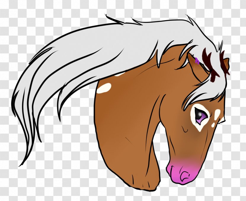 Mane Mustang Cat Dog Snout - Mammal - Canter And Gallop Transparent PNG