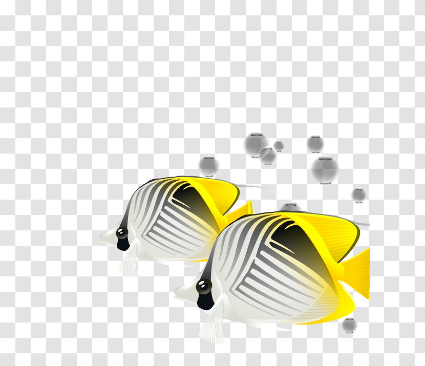 Download Bottom Fishing - Fish - Tropical Transparent PNG