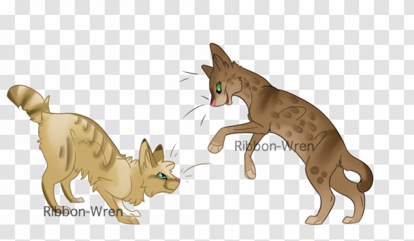 Kitten Whiskers Dog Wildcat - Cat Transparent PNG