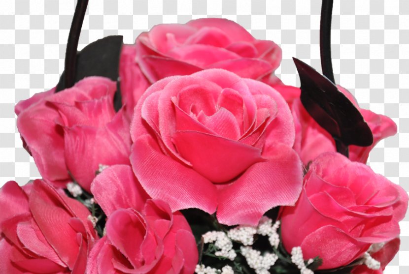 Garden Roses Cabbage Rose Cut Flowers Floral Design - Pink - Flower Transparent PNG