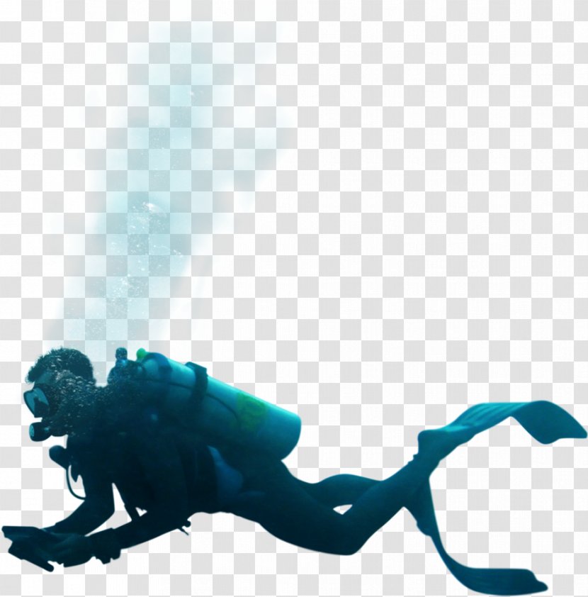 Underwater Diving Scuba Set Clip Art - Organism - Sky Transparent PNG
