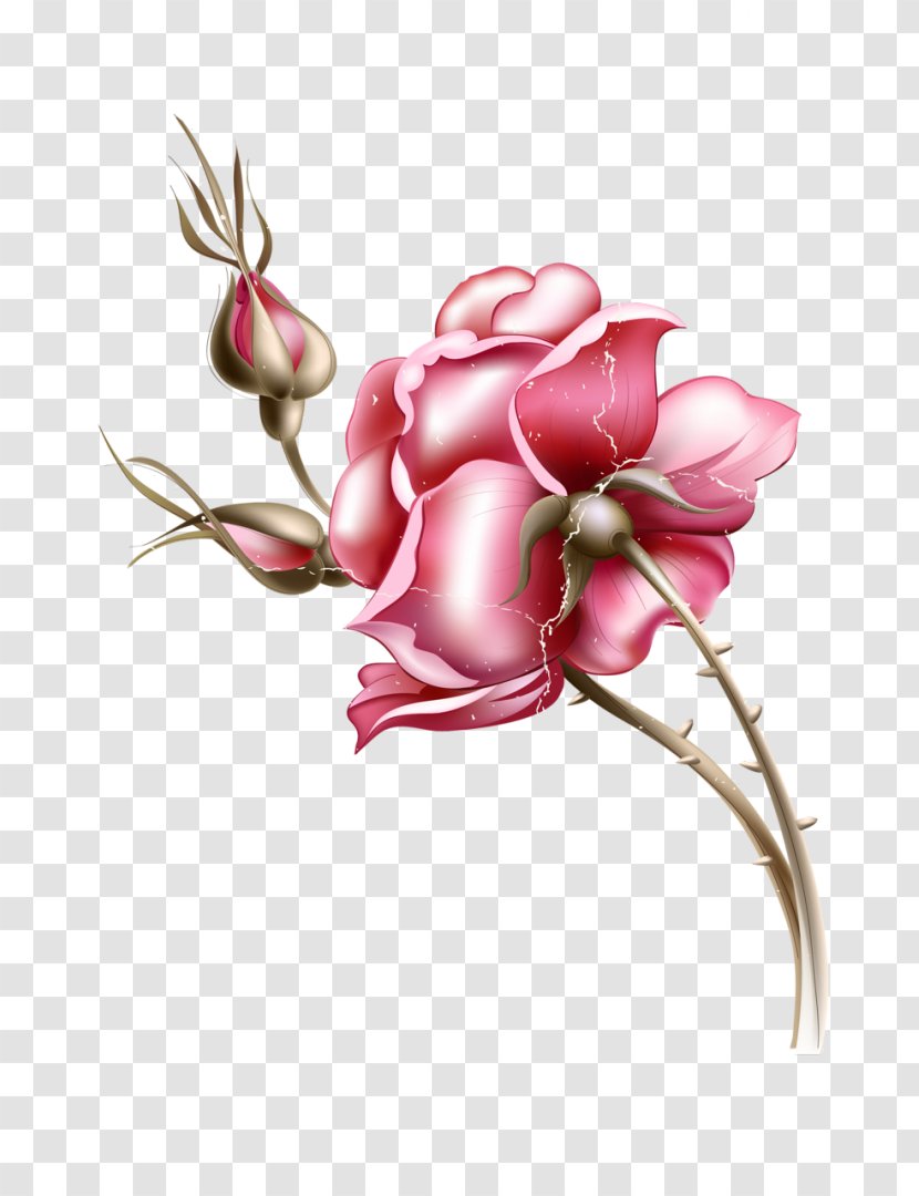 Poster Photography Clip Art - Cartoon - Peony Transparent PNG