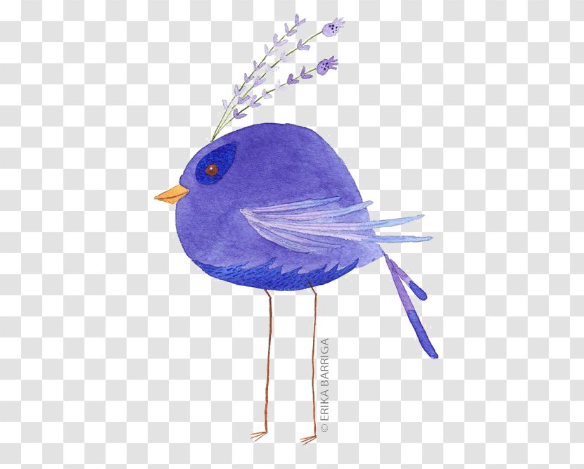 Bird Watercolor Painting Illustration - Beak - Birds Transparent PNG