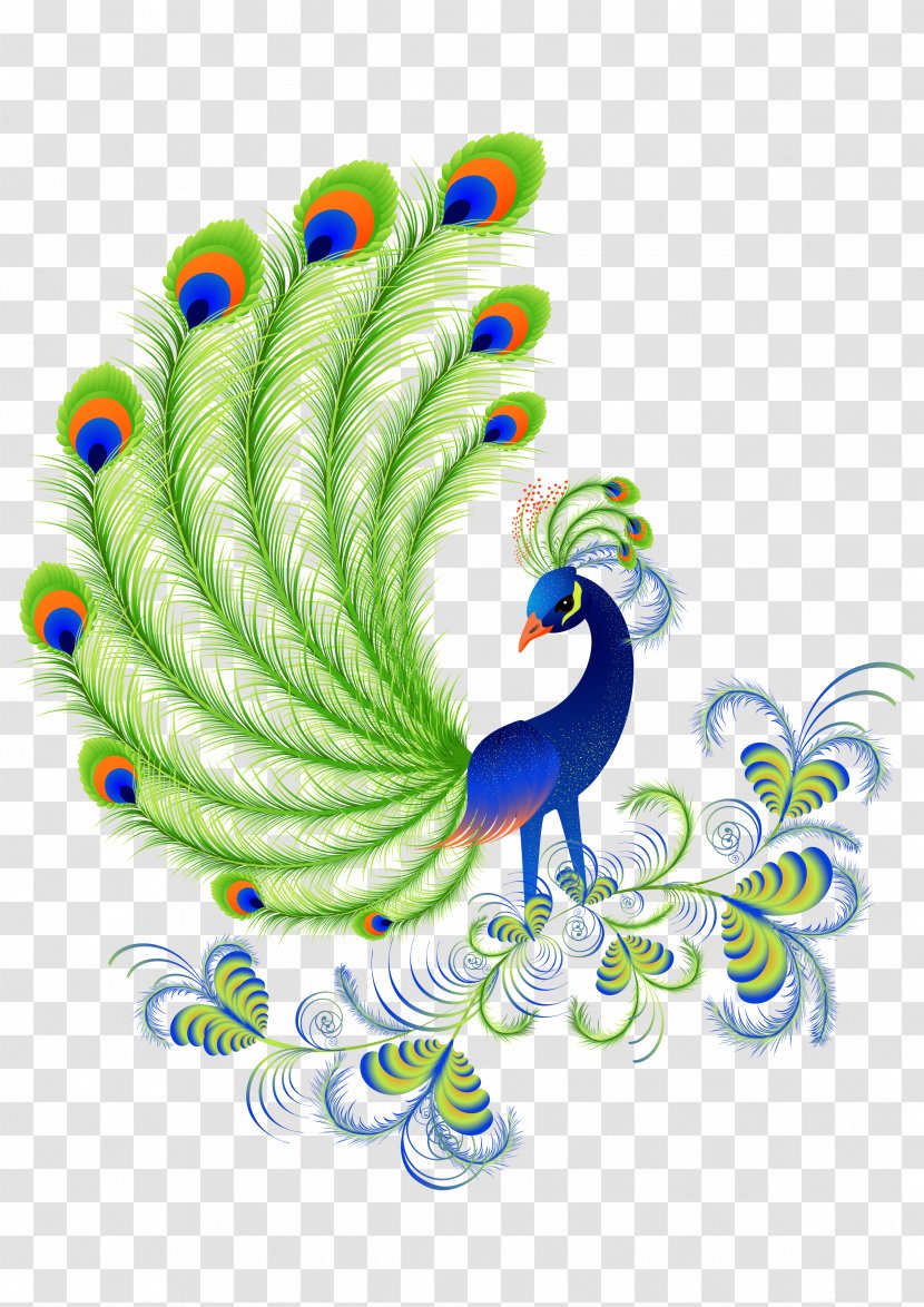 Peafowl Free Content Clip Art - Document - Peacock Transparent PNG