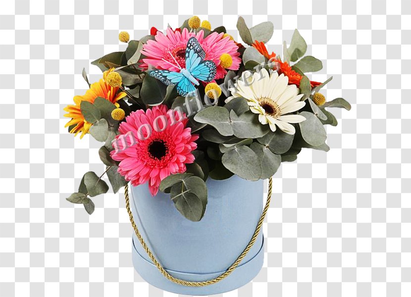Box Transvaal Daisy Flower Bouquet Online Shopping Transparent PNG