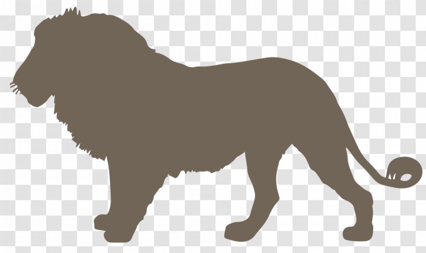 Lion Drawing - Wildlife - Roar Transparent PNG