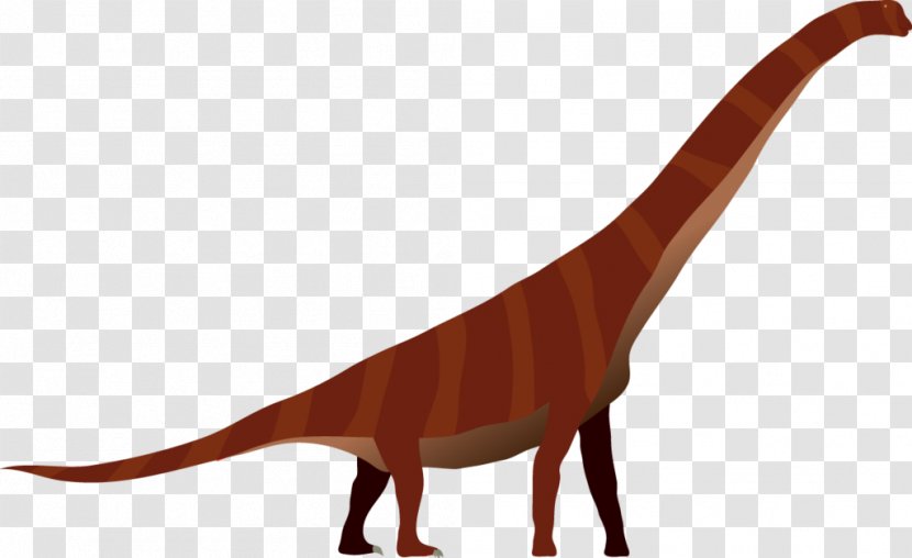 Tyrannosaurus Velociraptor - Tail - Implication Vector Transparent PNG