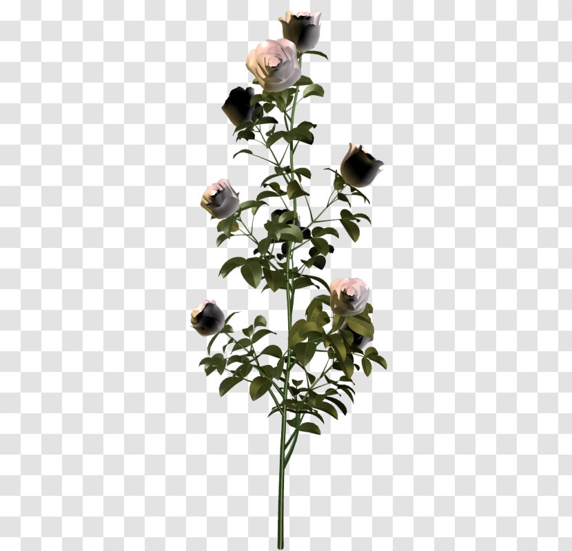 Garden Roses Plants Flower Clip Art - Flowerpot - Cut Flowers Transparent PNG