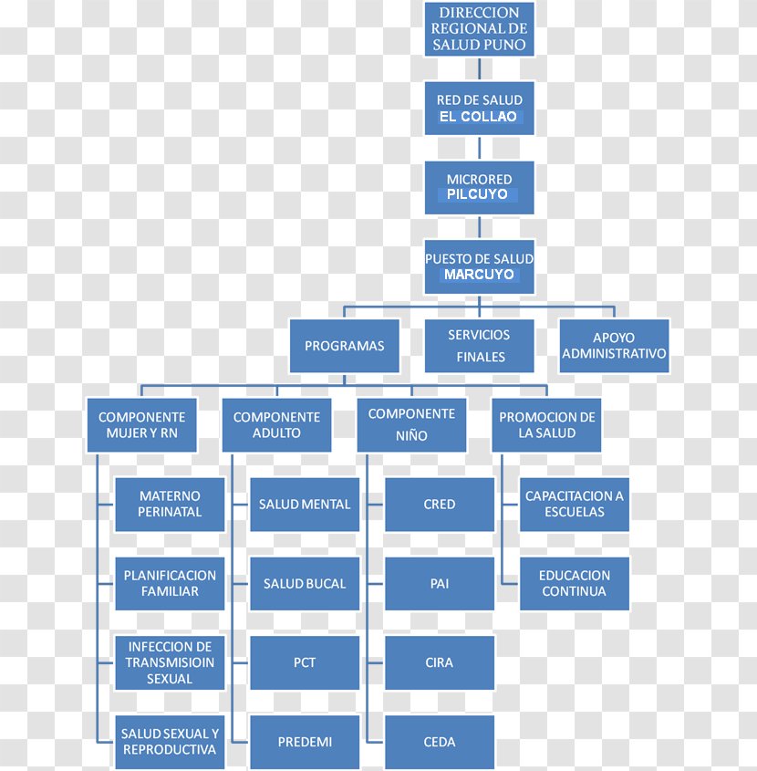 Organizational Chart Structure Business - Web Page Transparent PNG