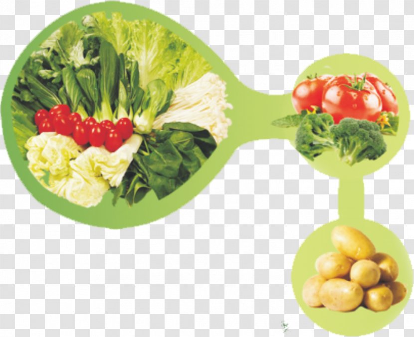Vegetable Chinese Cabbage Napa Food - Recipe - Fresh Vegetables Transparent PNG