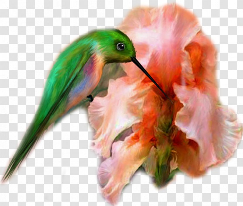 Hummingbird M Painting Beak Kocaeli Province - February - Cartoon Bird With Flowers Transparent PNG