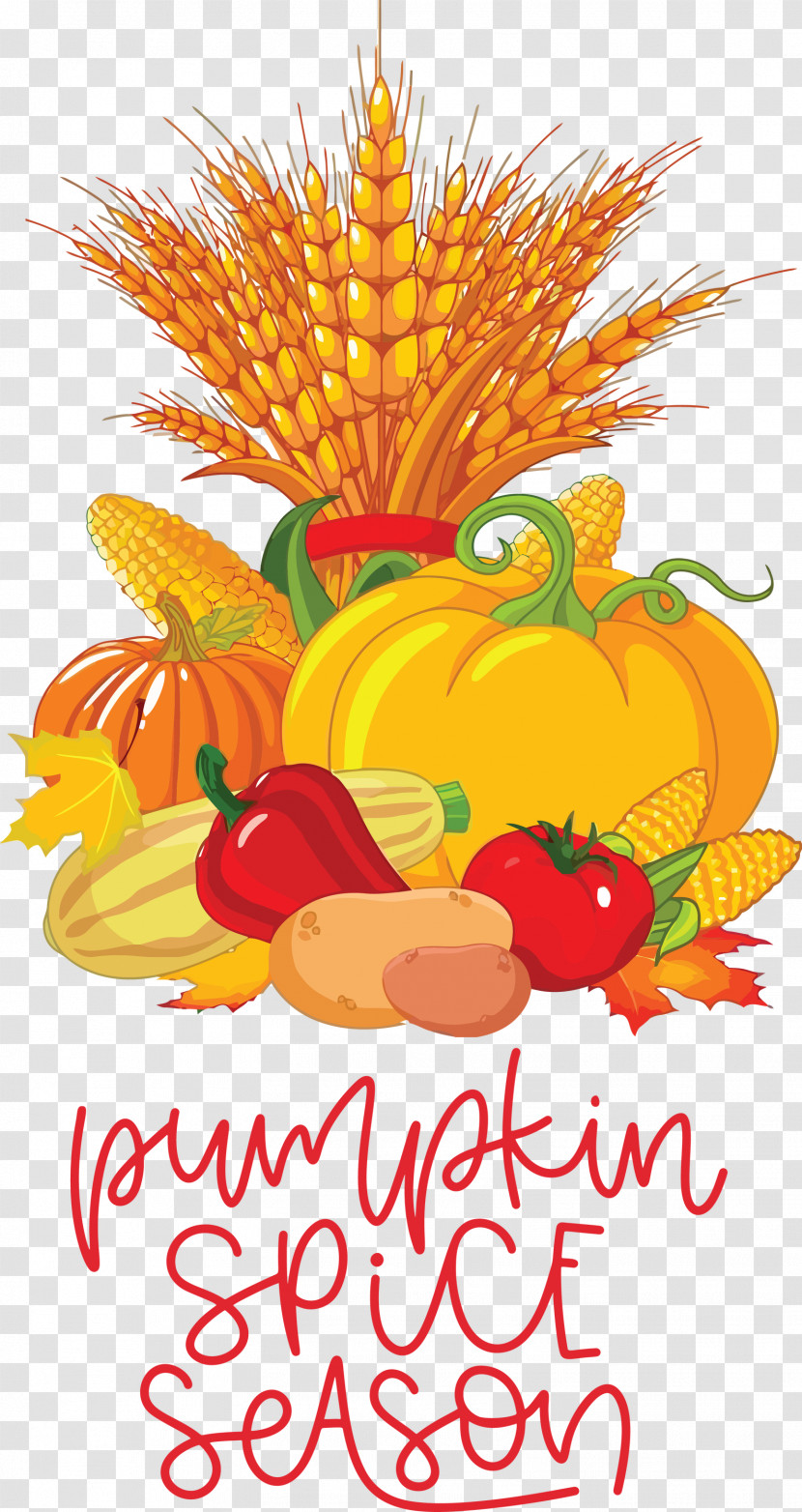 Autumn Pumpkin Spice Season Pumpkin Transparent PNG