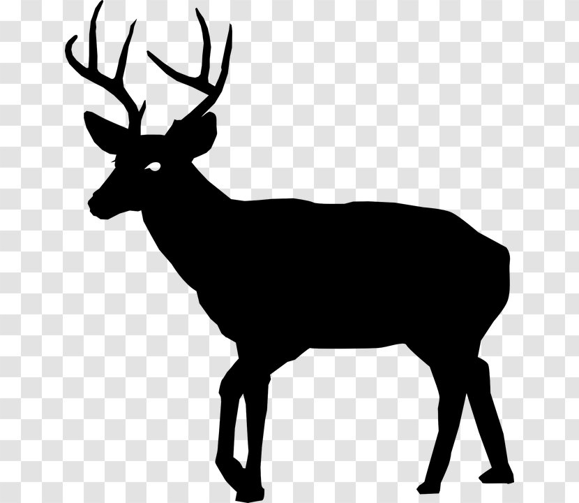 White-tailed Deer Hunting Clip Art - Elk Transparent PNG