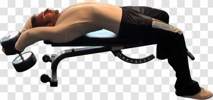 Physical Fitness Shoulder Bench Pullover Dumbbell - Cartoon Transparent PNG