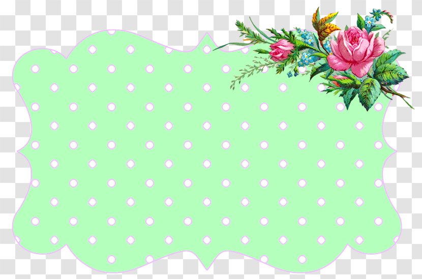 Wish Greeting & Note Cards Birthday Transparent PNG