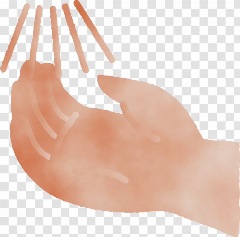 Hand Nose Finger Thumb Peach Transparent PNG