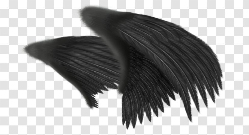 Wing Angel Feather Clip Art - Monochrome Transparent PNG