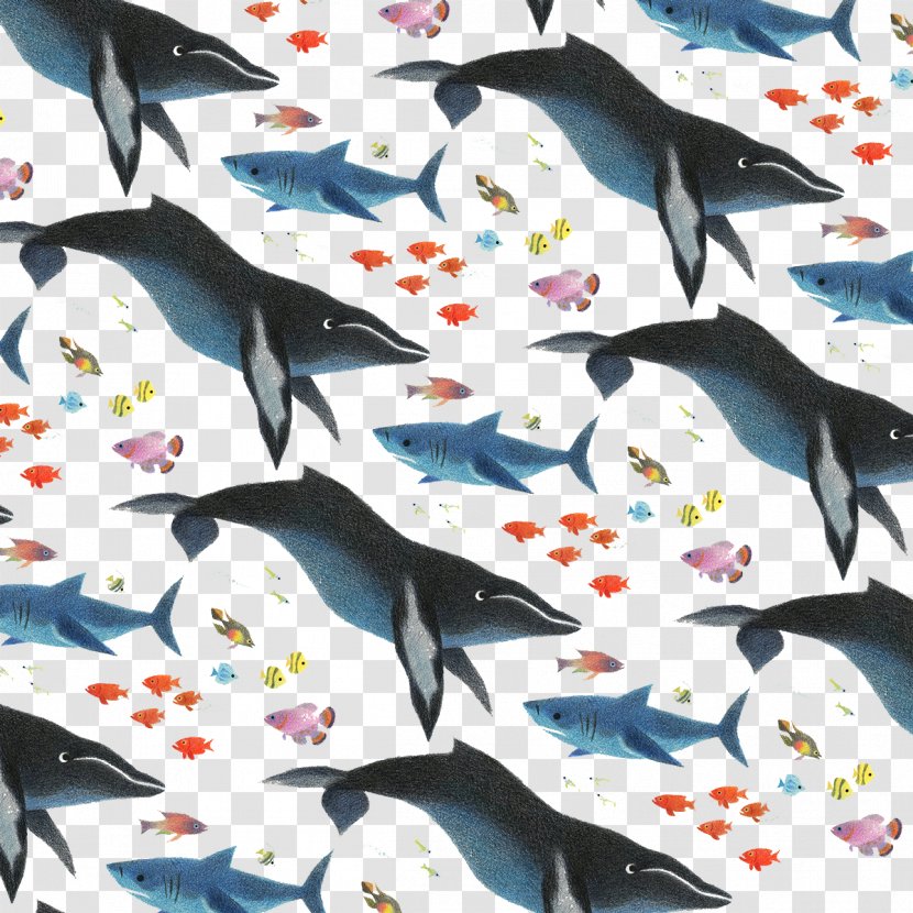Pattern - Whales Dolphins And Porpoises - Whale Shark Background Color Of Lead Transparent PNG