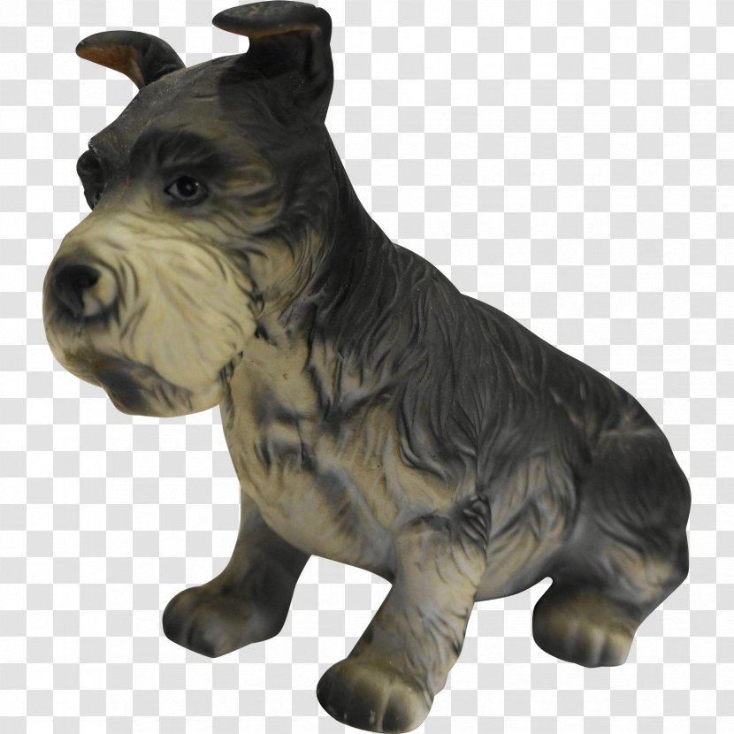 Dog Breed Snout Canidae Carnivora - Mammal Transparent PNG